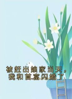 被赶出家门后，我被豪门总裁接手了