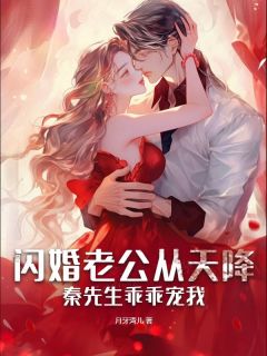 闪婚老公从天降，秦先生乖乖宠我