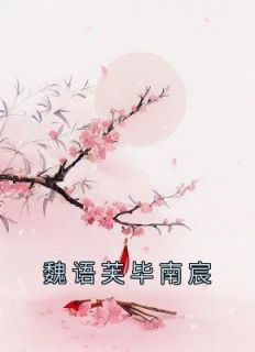 魏语芙毕南宸